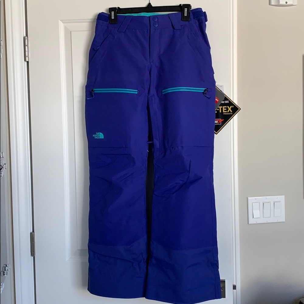 North Face Powder Guide Snow Pants